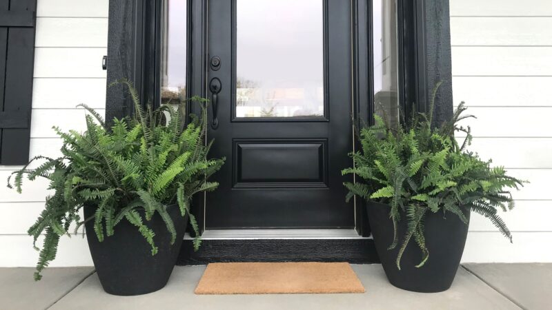Inviting Entryway