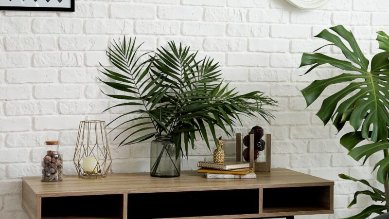 Making a House a Home: