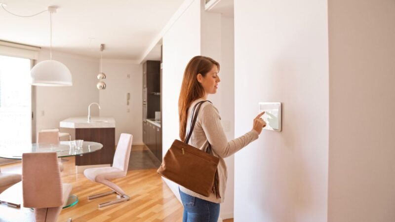 The Rise of Eco-Friendly Homes: