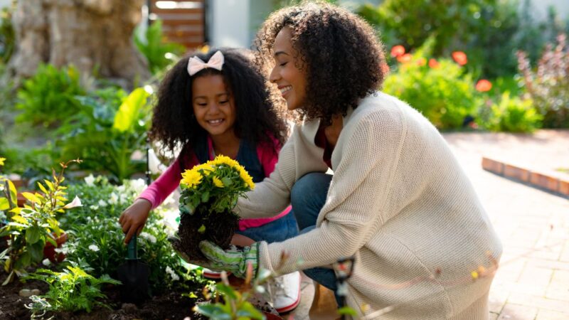 Finding Potential in a Fixer-Upper