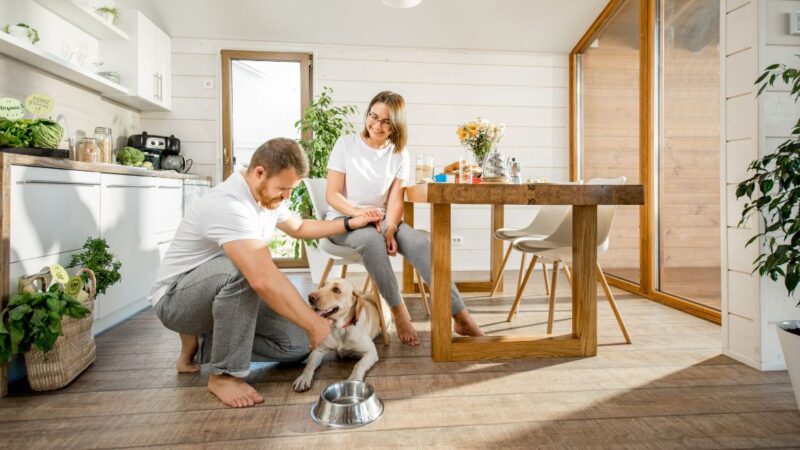 Selling Your Home with Pets: Tips for a Smooth Process