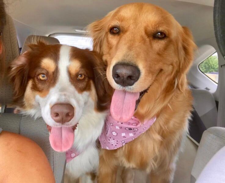 in-good-company-morgan-pankratov